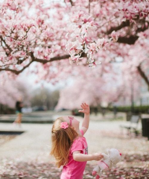 little girl reaching for tree flower